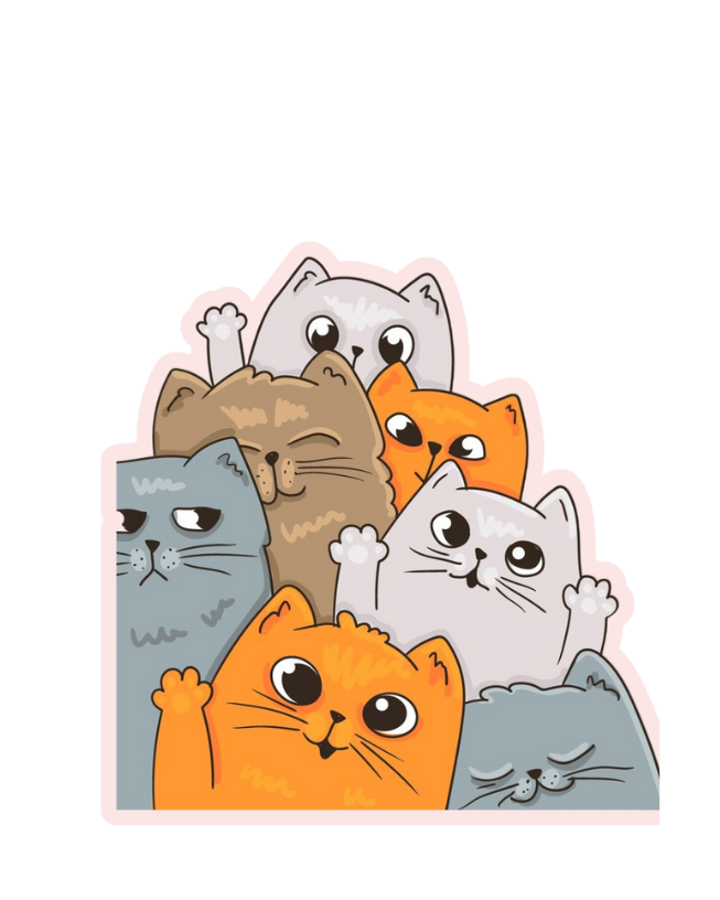 gatos 3